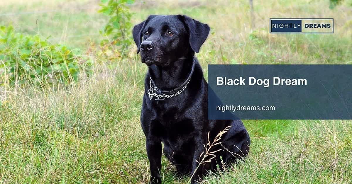 What Does a Black Dog Dream Mean? Uncover Hidden Symbolism, Emotions, and Spiritual Insights