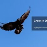 What Does a Crow in Dream Mean? Unveiling Hidden Messages and Symbolism