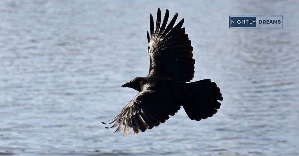 How To Reflect On A Crow In Dream