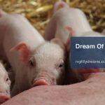 Unlocking the Meaning: Insights into Your Dream of Pigs and Their Symbolism