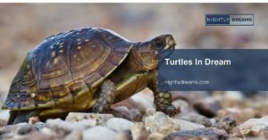 Unlocking the Meaning of Turtles in Dream: Symbolism, Insights, and Personal Growth