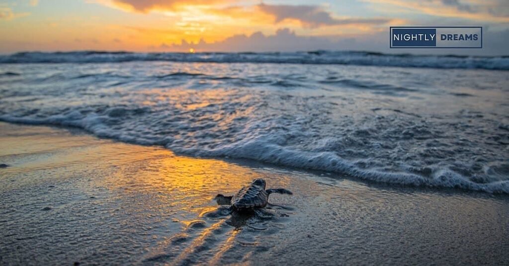 Common Themes Associated With Turtles in Dream