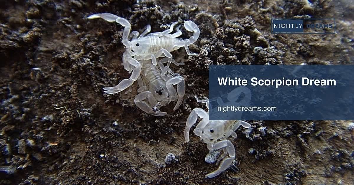 White Scorpion Dream Meaning: Unlock the Hidden Message Behind Your Vision